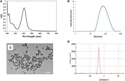 The Toxicity of Silver Nanoparticles (AgNPs) to Three Freshwater Invertebrates With Different Life Strategies: Hydra vulgaris, Daphnia carinata, and Paratya australiensis